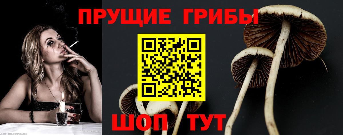 Псилоцибиновые грибы MAGIC MUSHROOMS Бахчисарай