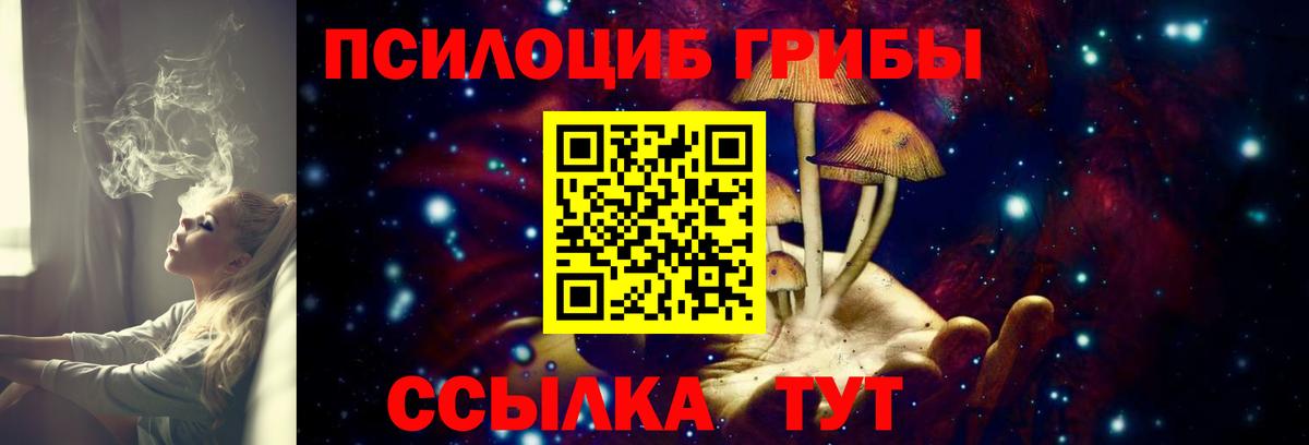Бахчисарай  Галлюциногенные грибы прущие грибы  Галлюциногенные грибы мицелий  Вход с VPN 